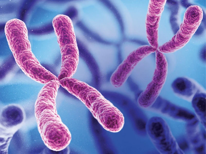 cytogenetics