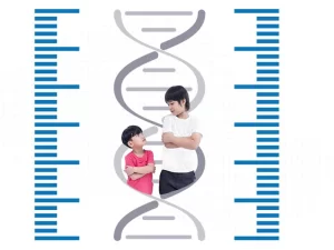 ژن های موثر در قد کدام اند؟