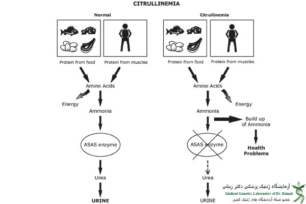 علائم سیترولینمی