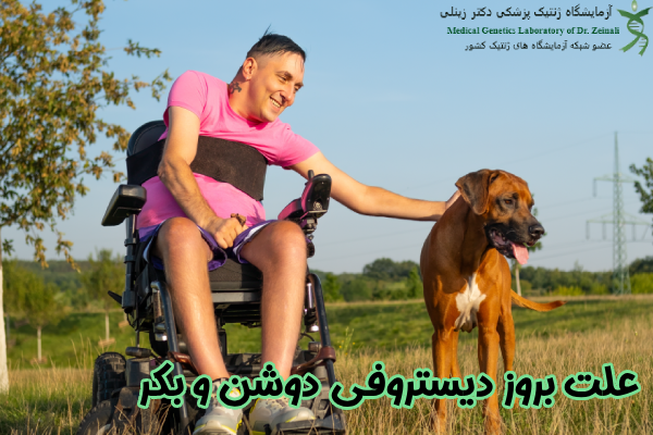 علت بروز دیستروفی دوشن و بکر