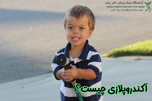 آکندروپلازی چیست