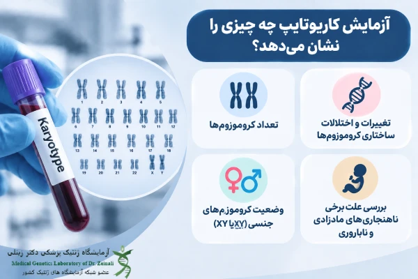آزمایش کاریوتایپ چه چیزی را نشان می دهد؟